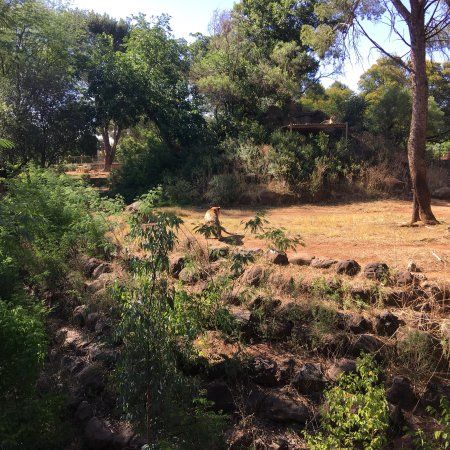 Bloemfontein Zoo